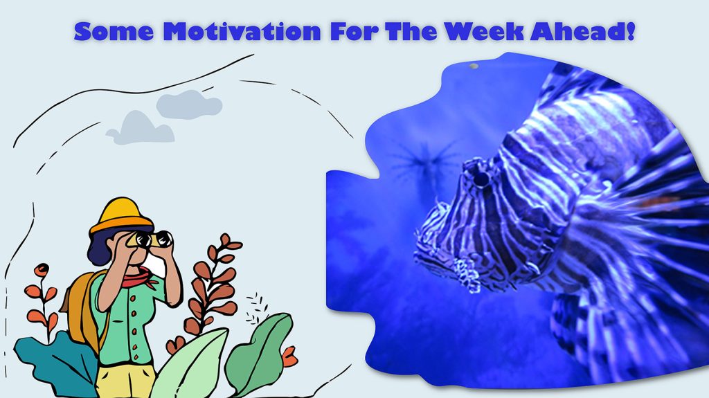 Some Motivation For The Week Ahead!